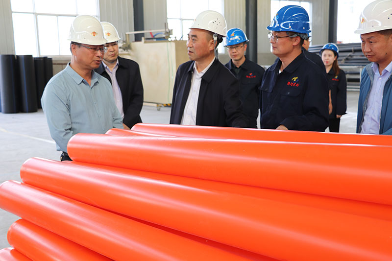 5.21日，定西市副市長、農(nóng)業(yè)農(nóng)村局局長等一行領(lǐng)導(dǎo)蒞臨我公司檢查指導(dǎo)工作